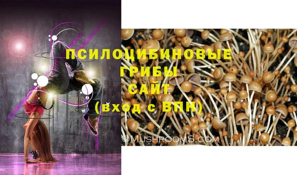 ECSTASY Армянск