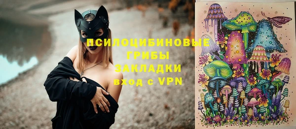не бодяженный Арсеньев