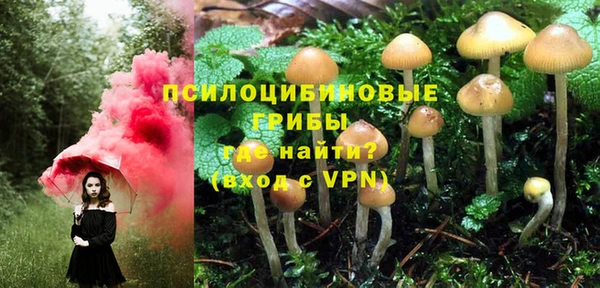 ECSTASY Армянск