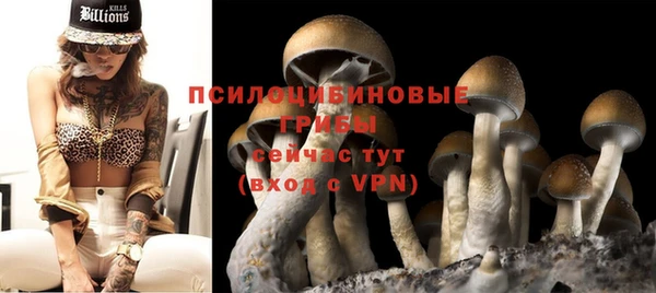 не бодяженный Арсеньев
