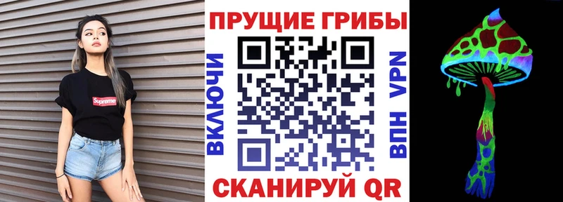 Галлюциногенные грибы Psilocybe  Купить  Сертолово 